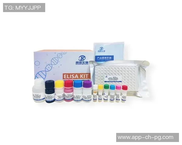 pg电子yb33丶me-探索pg电子yb33丶me,重新定义电子时代的潜力与价值-pg电子yb33丶me