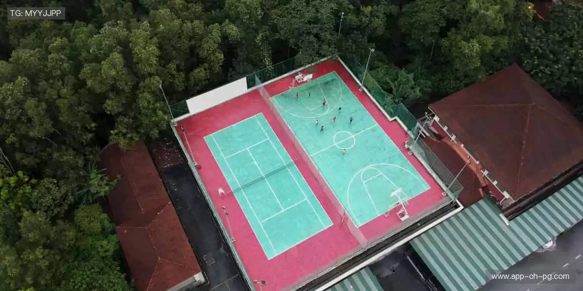 📺 实时直击,让热爱零距离!